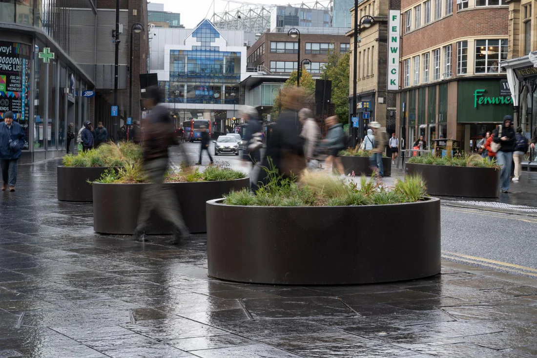 Plants in planters with Fenwick in the background