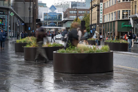 Plants in planters with Fenwick in the background